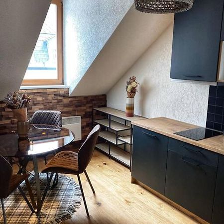 Cozy And Warm Apartment In The Heart Of Karlsbad Exteriör bild